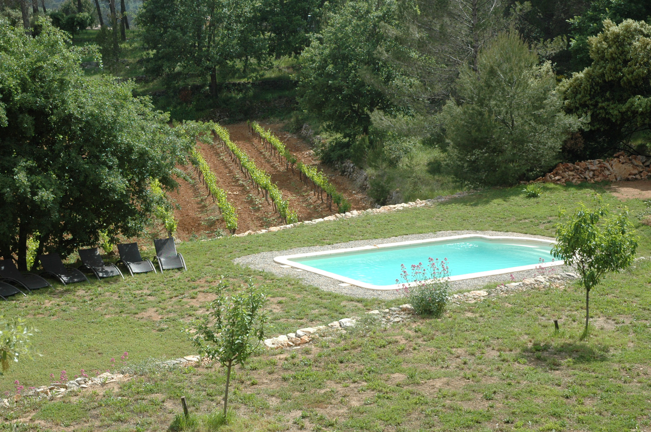 DSC_0096.jpg