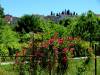 1-Carces-par-les-jardins.JPG